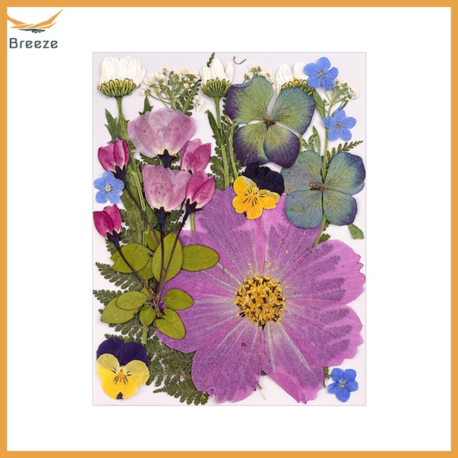 1 Túi Hoa Khô Dùng Trang Trí Điện Thoại / Trang Sức / Móng Tay Nghệ Thuật Diy