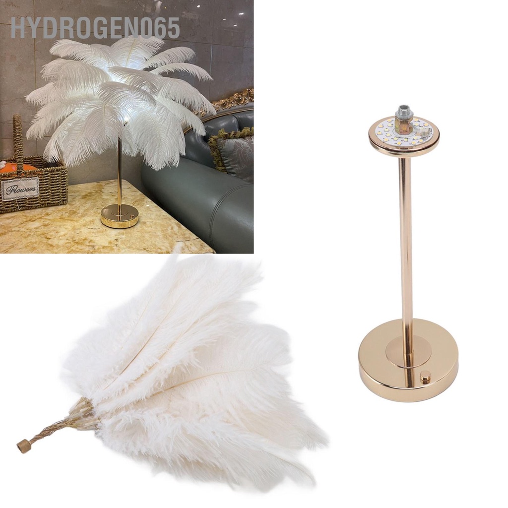 Hydrogen065 Lông Vũ Đèn Bàn Cảm Ứng USB Đà Điểu 3 Màu Mờ Để Vàng Đế Kim Loại 30 chiếc