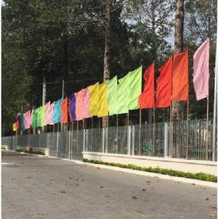 Cờ chuối, cờ phướn: set 8 chiếc khổ 50x100cm/60x120cm, đa màu