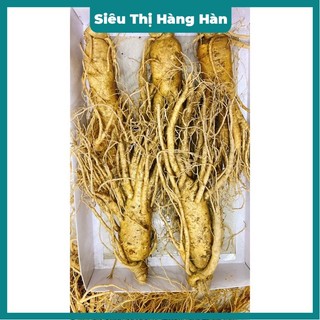 SÂM TƯƠI HÀN QUỐC 1/5;6;7;;9;10 củ