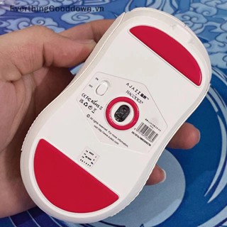 Everthinggooddown 1set mouse feet skates pads for ajazz aj199 mouse foot pad non-slip sticker vn