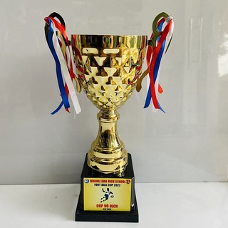 CUP BÓNG ĐÁ GIÁ RẺ - CUP 3116 ( MIỄN PHÍ THIẾT KẾ VÀ IN ẤN THEO YÊU CẦU )