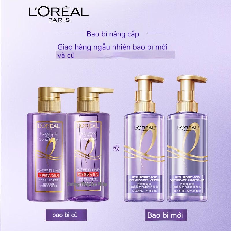 L'OREAL  purple ampoule hyaluronic acid shampoo dầu gội kiểm soát dầu nhờn
