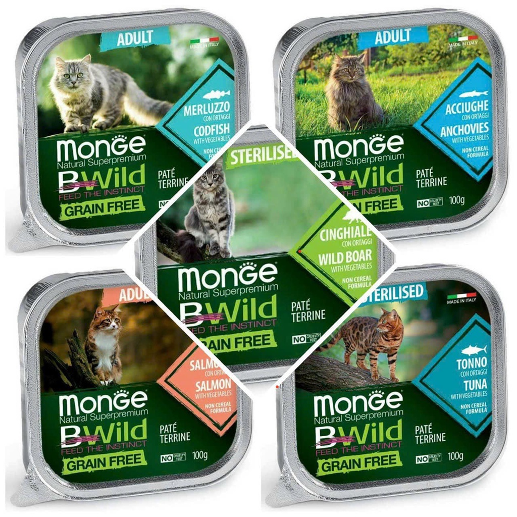 Pate Monge cho mèo trưởng thành nhiều vị khay 100g Bốn Chân  Bonchan.petstore