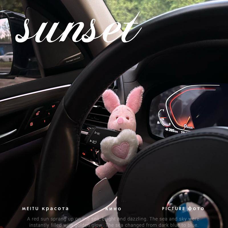 Sleeping Pig Love Heart Gear Controller Decorative Turn Signal Wiper Doll Cute Car Creativity Car Or