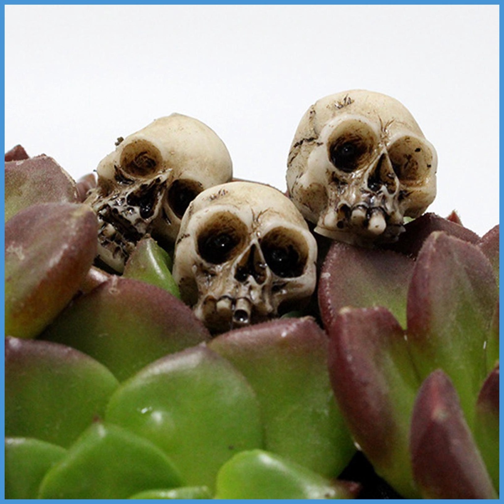 Nature Set 20 Mô Hình Bộ Xương Đầu Lâu mini Giả Dùng Làm Đạo Cụ Chụp Ảnh