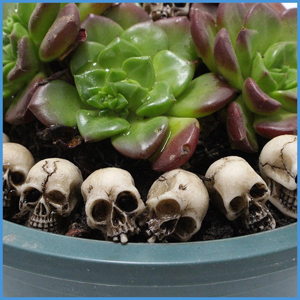 Nature Set 20 Mô Hình Bộ Xương Đầu Lâu mini Giả Dùng Làm Đạo Cụ Chụp Ảnh