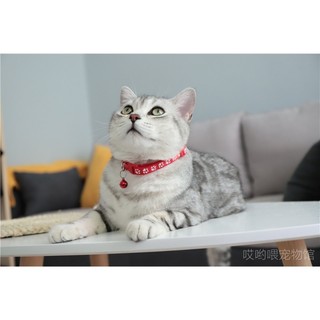 Vòng Cổ Dễ Thương Dành Cho Thú Cưng
