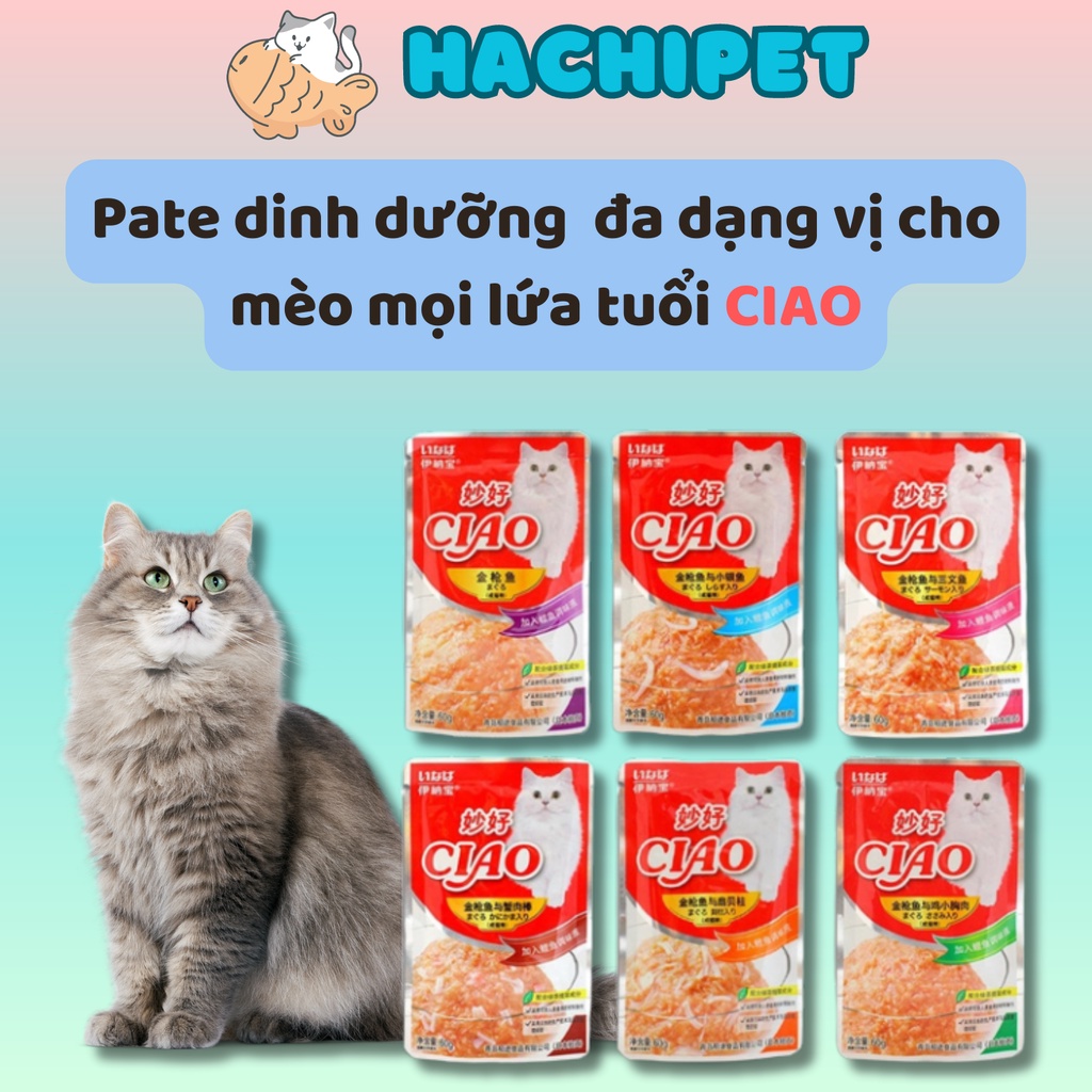 Pate CIAO gói 60g cực nhuyễn, thơm ngon giàu dinh dưỡng cho mèo mọi lứa tuổi