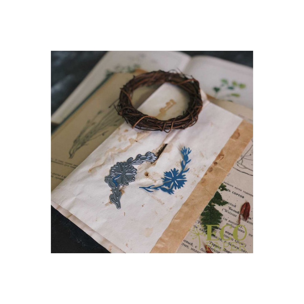 Khuôn Cắt Giấy Kim Loại Hình Lông Vũ Bướm Xinh Xắn