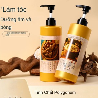 Dầu Gội Chứa polygonum multiflorum Đa Năng Cho Nam Giới