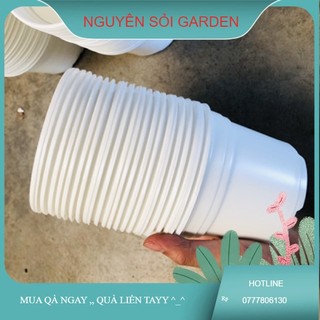 Chậu nhựa 10cm