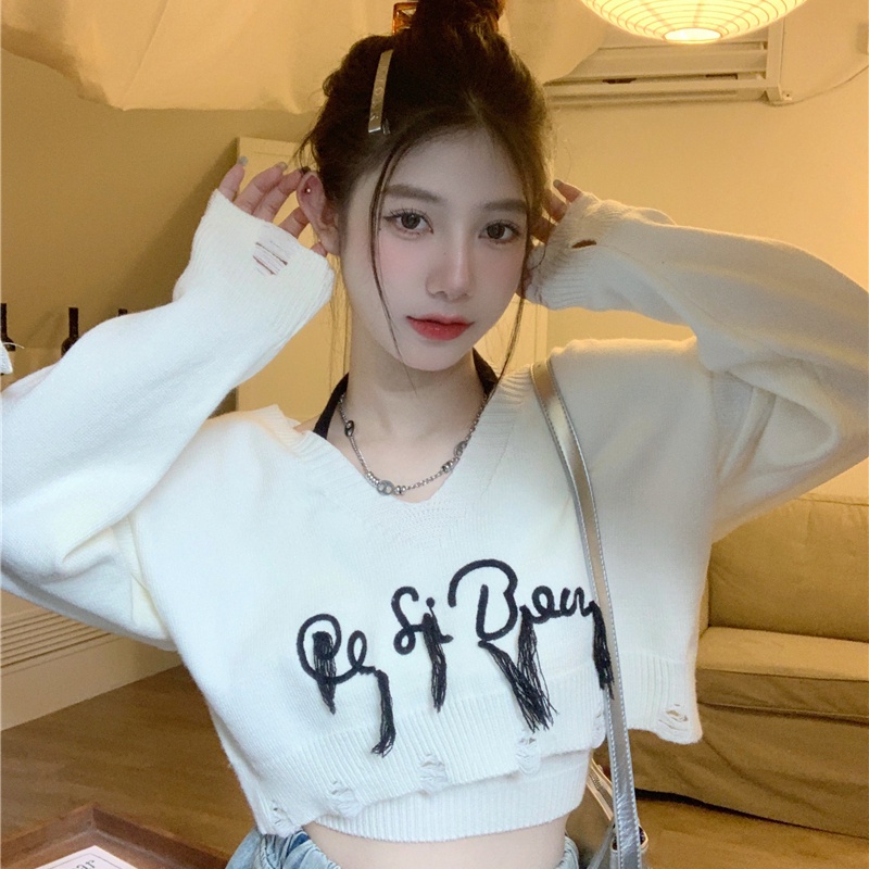 Áo sweater Tay Dài Dáng Rộng Thêu Chữ Phong Cách Mỹ Thời Trang Mùa Thu 2023