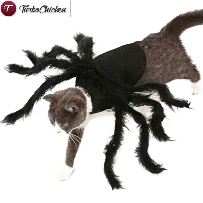 Bộ Đồ Hóa Trang Người Nhện Vui Nhộn Cho Thú Cưng Dịp halloween