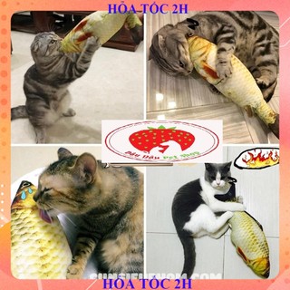 [ Bán sỉ ] ĐỒ CHƠI CHO MÈO CÁ THẦN THÁNH CATNIP CHO MÈO( màu ngẫu nhiên)