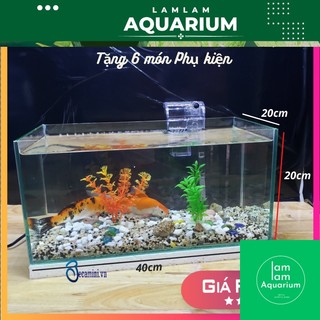 Bể cá mini 40cm - bể cá để bàn + lọc - bể cá combo tặng phụ kiện