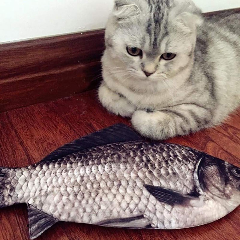 Mới Bóp Viết Hình Cá Sáng Tạo
