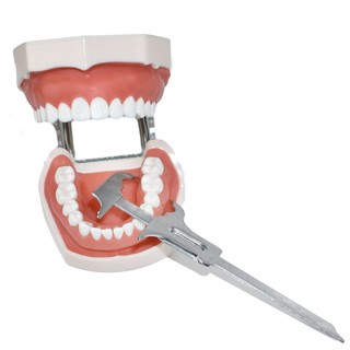 Thước Đo Răng Bằng Thép Không Gỉ