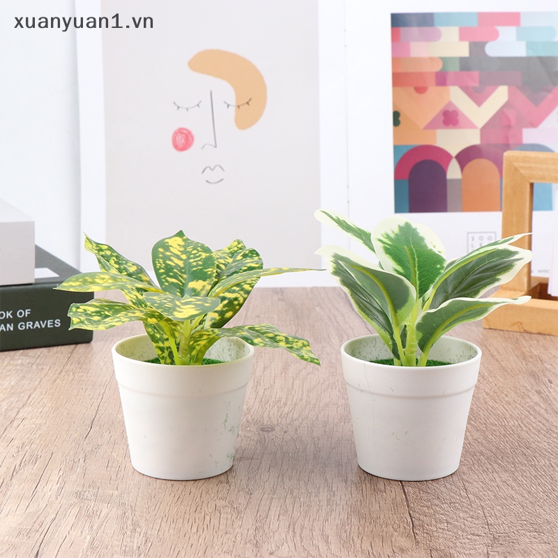 1 Chậu Cây Giả mini Để Bàn Trang Trí