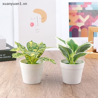 1 chậu cây giả mini để bàn trang trí
