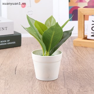 1 Chậu Cây Giả mini Để Bàn Trang Trí