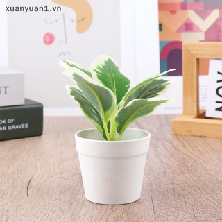 1 Chậu Cây Giả mini Để Bàn Trang Trí