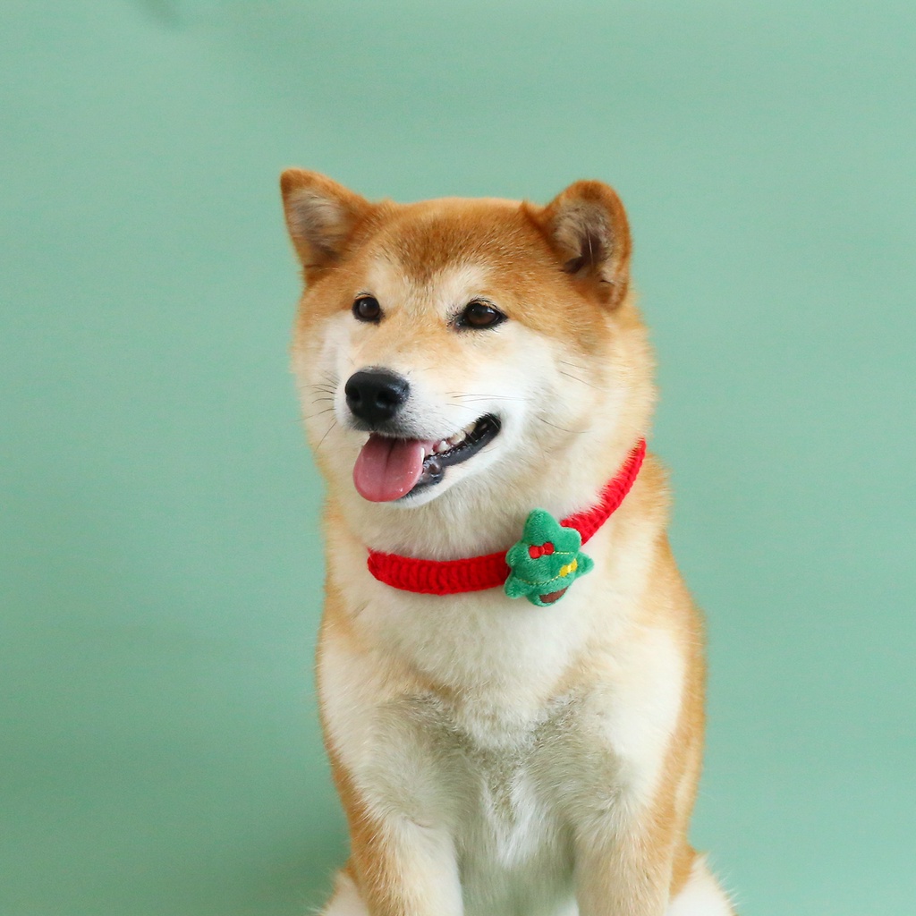 Khăn Choàng Cổ Đan Len Họa Tiết Giáng Sinh Hoạt Hình Ông Già Noel Có Chuông Cho Thú Cưng