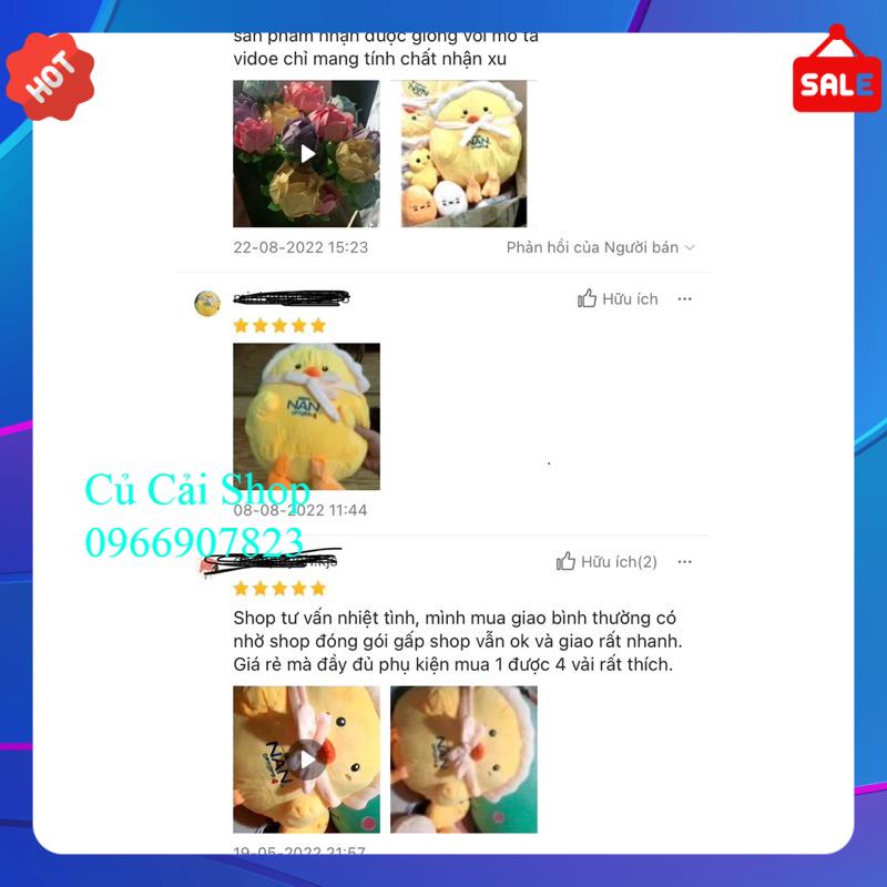 Gối ôm gà mái ấp trứng xịn sò hkm siêu xinh