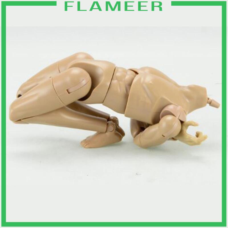 Mô Hình Cơ Thể Nam 12 inch Tỉ Lệ 1 / 6