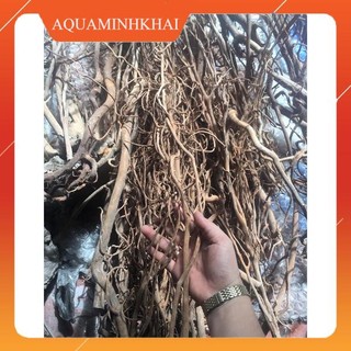Lũa rễ rừng Cao Cấp | Trang Trí Trải Nền, Setup Layout : Thủy Sinh, Biotope, Blackwater, bể bán cạn, terrarium
