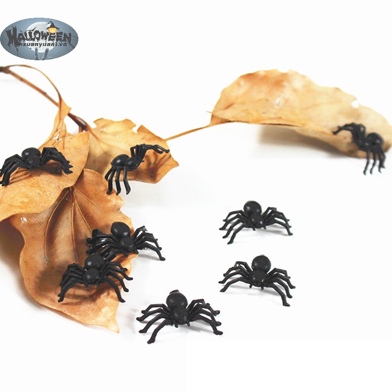 Set 50 Mô Phỏng Nhện Nhựa Màu Đen Trang Trí halloween vn