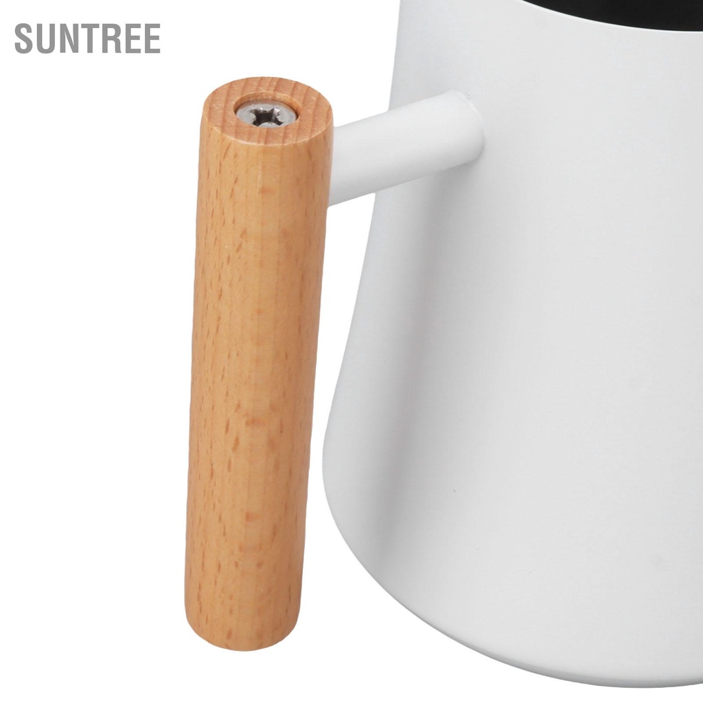 Bình Tưới Cây Bằng Thép Không Gỉ Nhỏ Retro Có Tay Cầm Gỗ Cho Trong Nhà Ngoài Trời 1000ML
