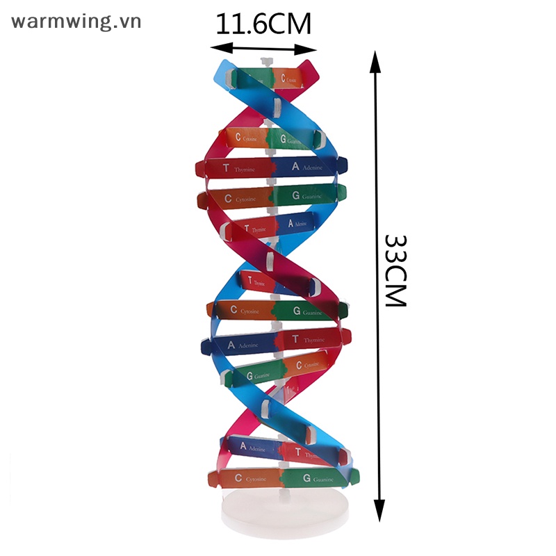 Đồ Chơi Giáo Dục Mô Hình Thí Nghiệm Khoa Học Ấm Áp dna