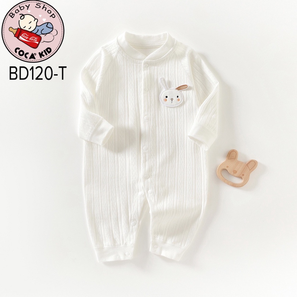 BODY COTTON CÚC GIỮA QUẢNG CHÂU