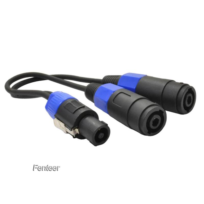 Dây Cáp Khuếch Đại Âm Thanh 0.3m pa