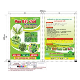 Phân bón Vua bật trồi giúp cây Giúp cây đâm chồi đẻ nhánh - SHOP QUỲNH NGA