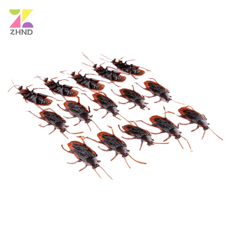 Zhuzhengde Set 10 Mô Hình Con Gián Giả Bằng Cao Su Sống Động Như Thật
