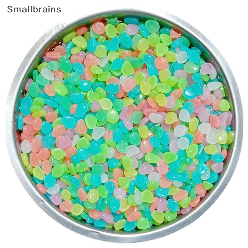 Smbr Set 100 Viên Đá Dạ Quang Nhiều Màu Trang Trí Bể Cá / Sân Vườn