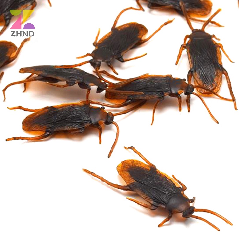 Zhuzhengde Set 10 Mô Hình Con Gián Giả Bằng Cao Su Sống Động Như Thật