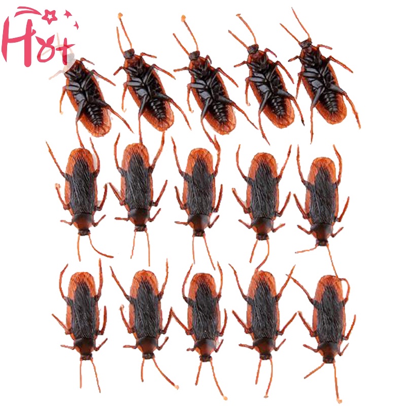 Jr Set 10 Mô Hình Con Gián Giả Bằng Cao Su Độc Đáo Sống Động vn