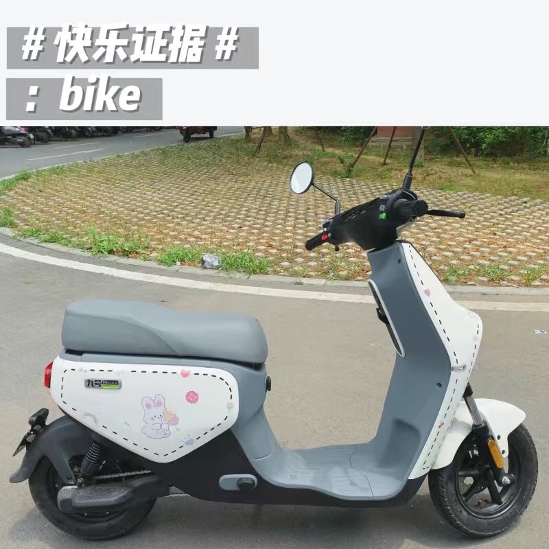 Set 2 tấm Hình dán xe điện , ô tô chống nước - Sapo Decor 178