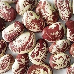 Đậu Ngự /Đậu Đỏ Nuts Talk 500g