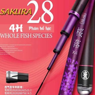 Sakura tím 4h