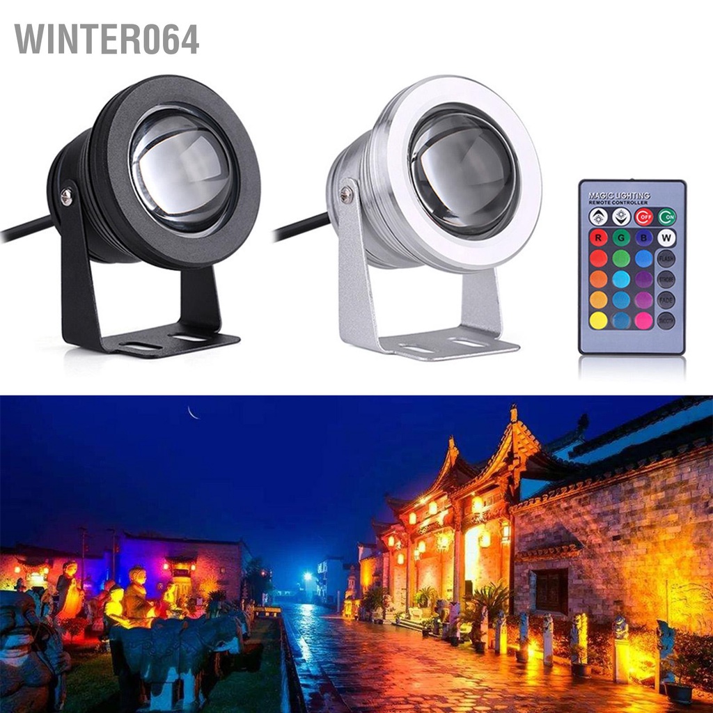 Đèn led 10w 12v rgb Chống Thấm Nước Kèm remote Điều Khiển Winter064