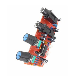 【adorb2】PT2399 NE5532 Microphone Amplifier Board Preamplifier Reverberation Panel