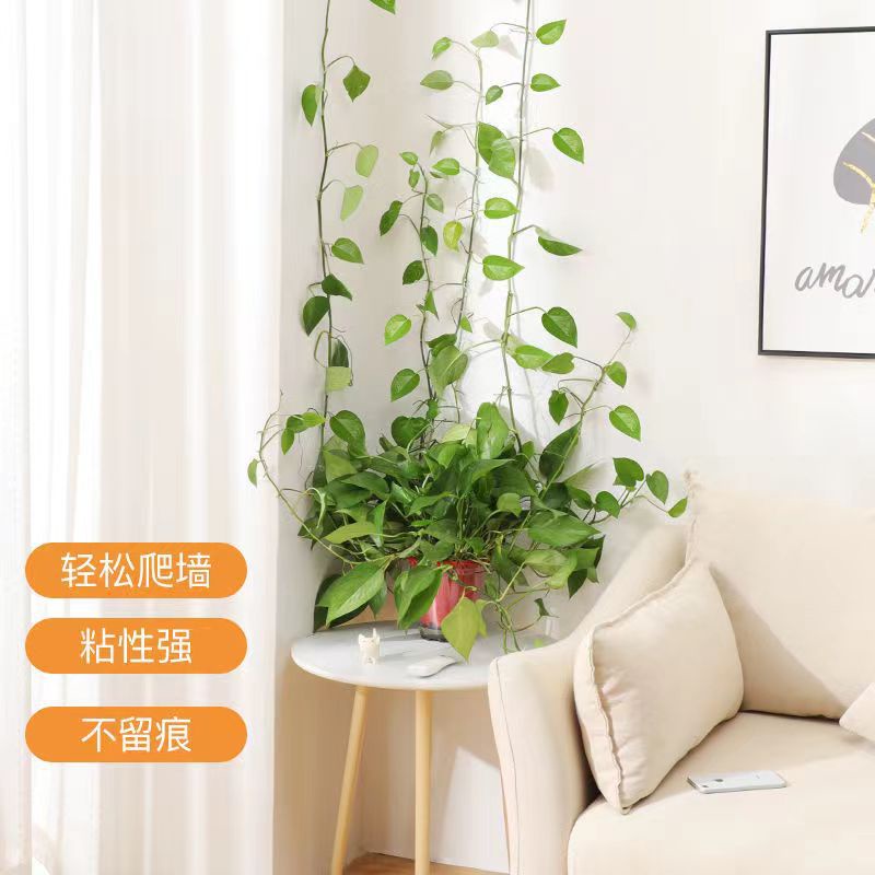 Móc Treo Đồ Gắn Tường Bằng Mây Xanh Không Để Lại Dấu Thẻ Tiện Dụng