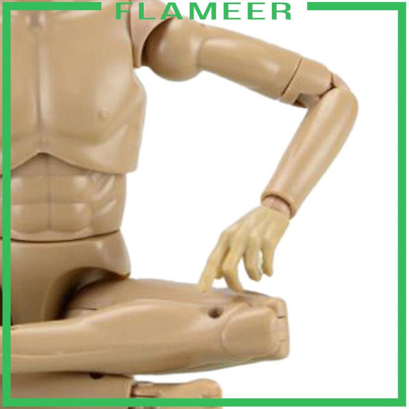 Mô Hình Cơ Thể Nam 12 inch Tỉ Lệ 1 / 6