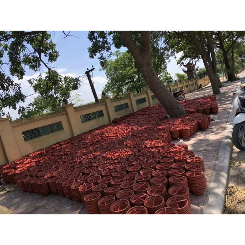 Chậu đất nung trồng lan tặng  kèm móc kẽm treo lan dài 70cm