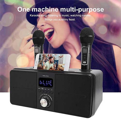Loa Karaoke SDRD SD309 Loa Bluetooth Mini Karaoke SDRD SD-309, Bản Cao Cấp Chất Lượng, Kèm 2 Micro Sạc Không Dây