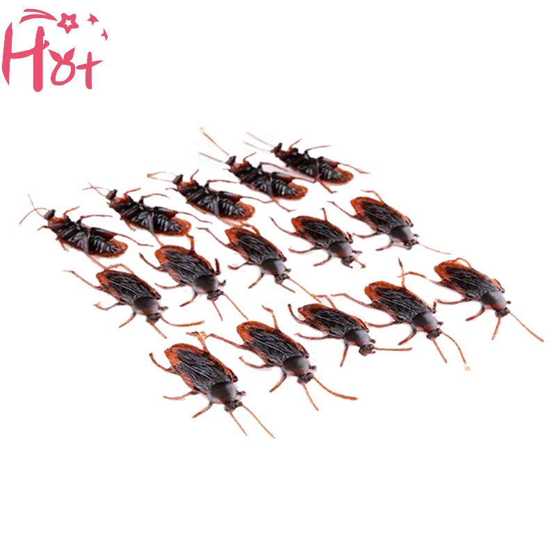 Jr Set 10 Mô Hình Con Gián Giả Bằng Cao Su Độc Đáo Sống Động vn